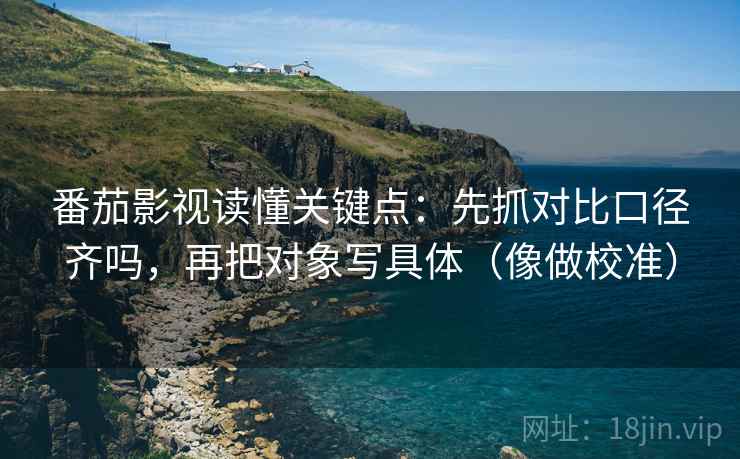 番茄影视读懂关键点：先抓对比口径齐吗，再把对象写具体（像做校准）